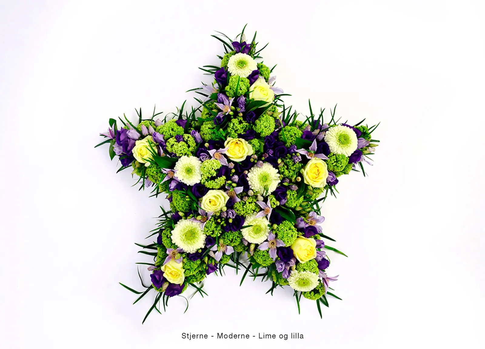 Moderne – Stjerne