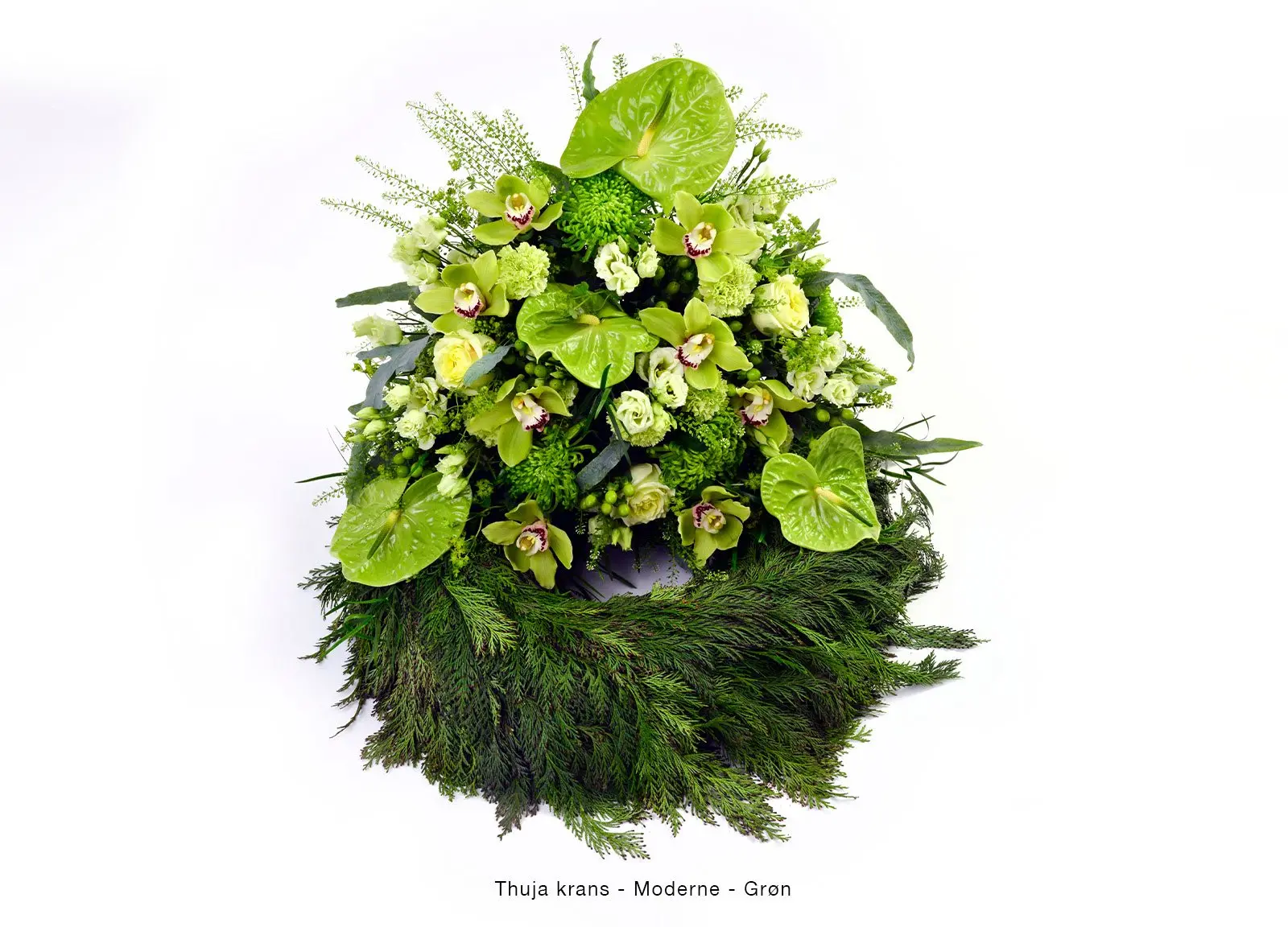 Moderne – Thuja krans